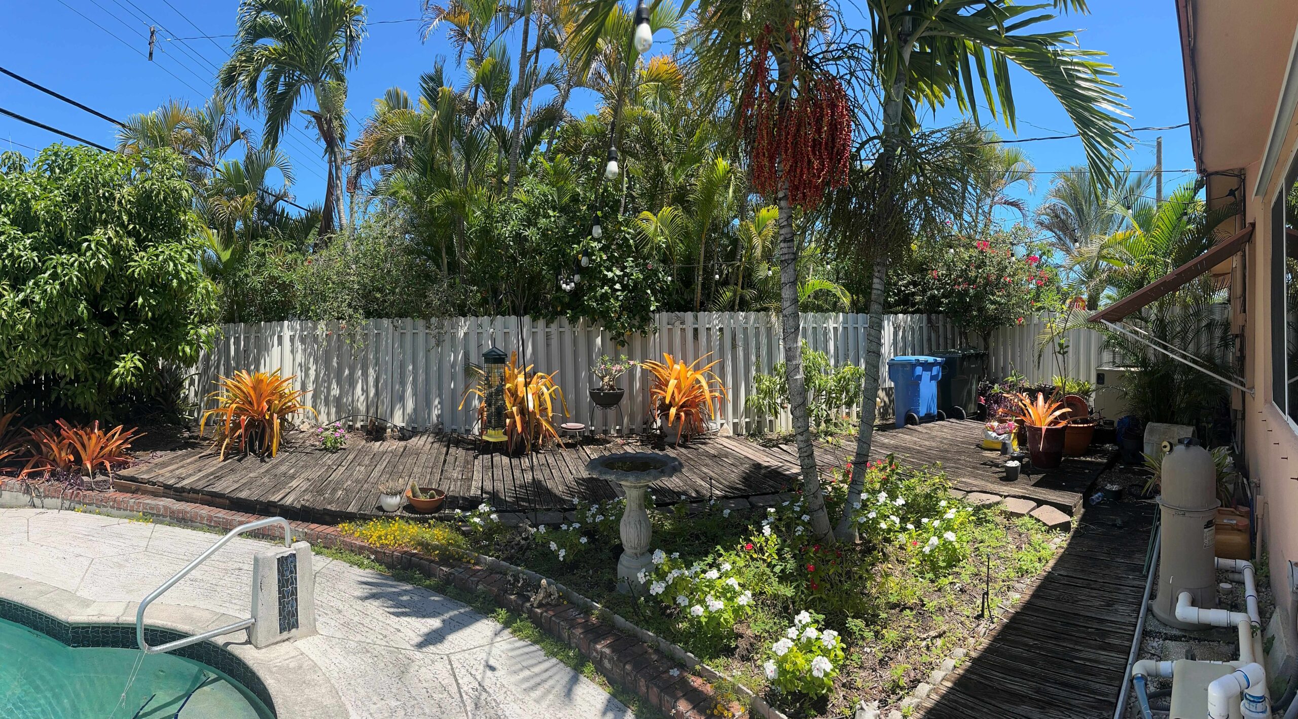 Sparse residential lawn and bare concrete pool deck before landscape redesign in Sarasota Florida