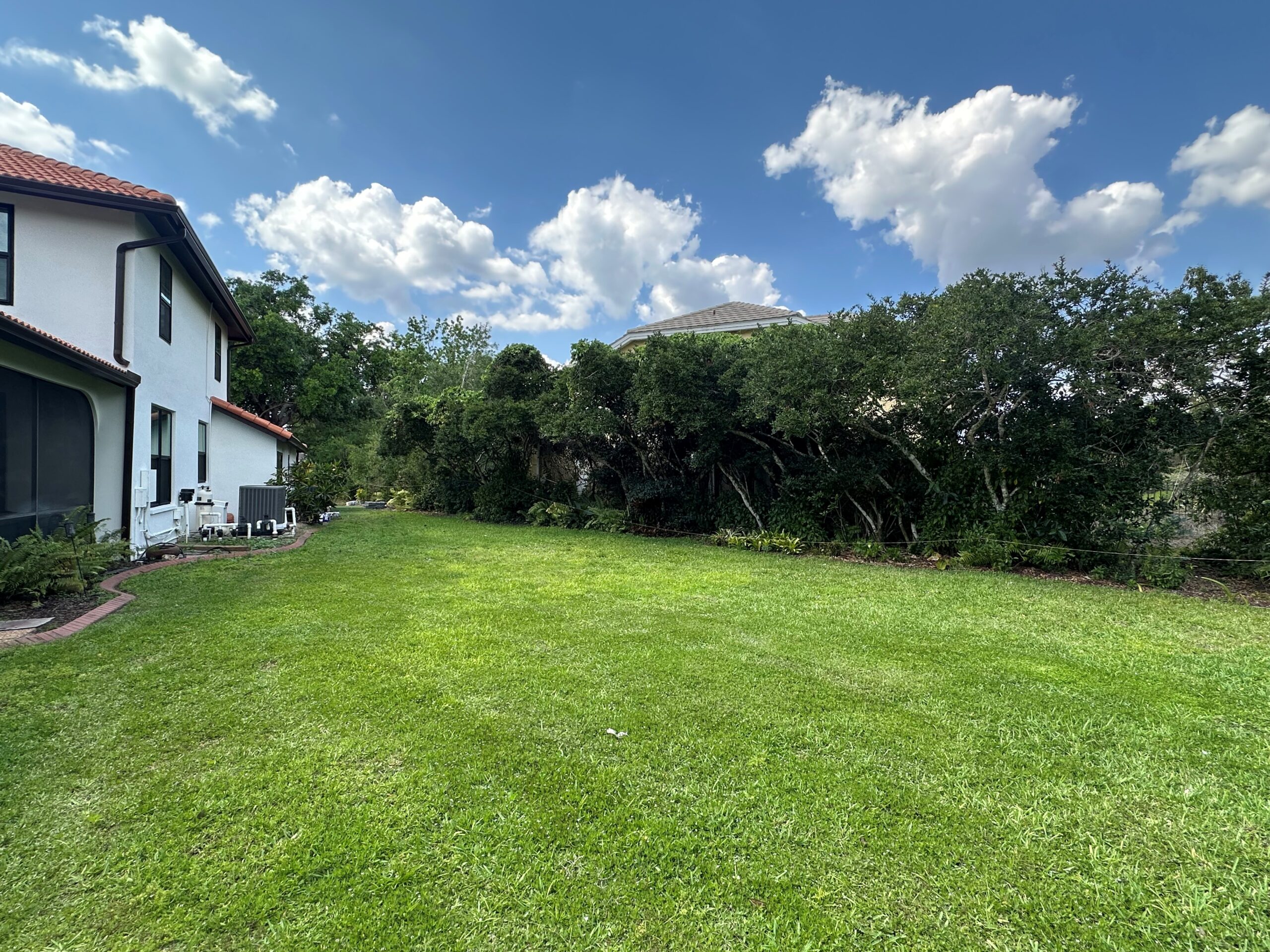 Basic kidney-shaped pool with open grass lawn and no privacy buffers in Clearwater Florida
