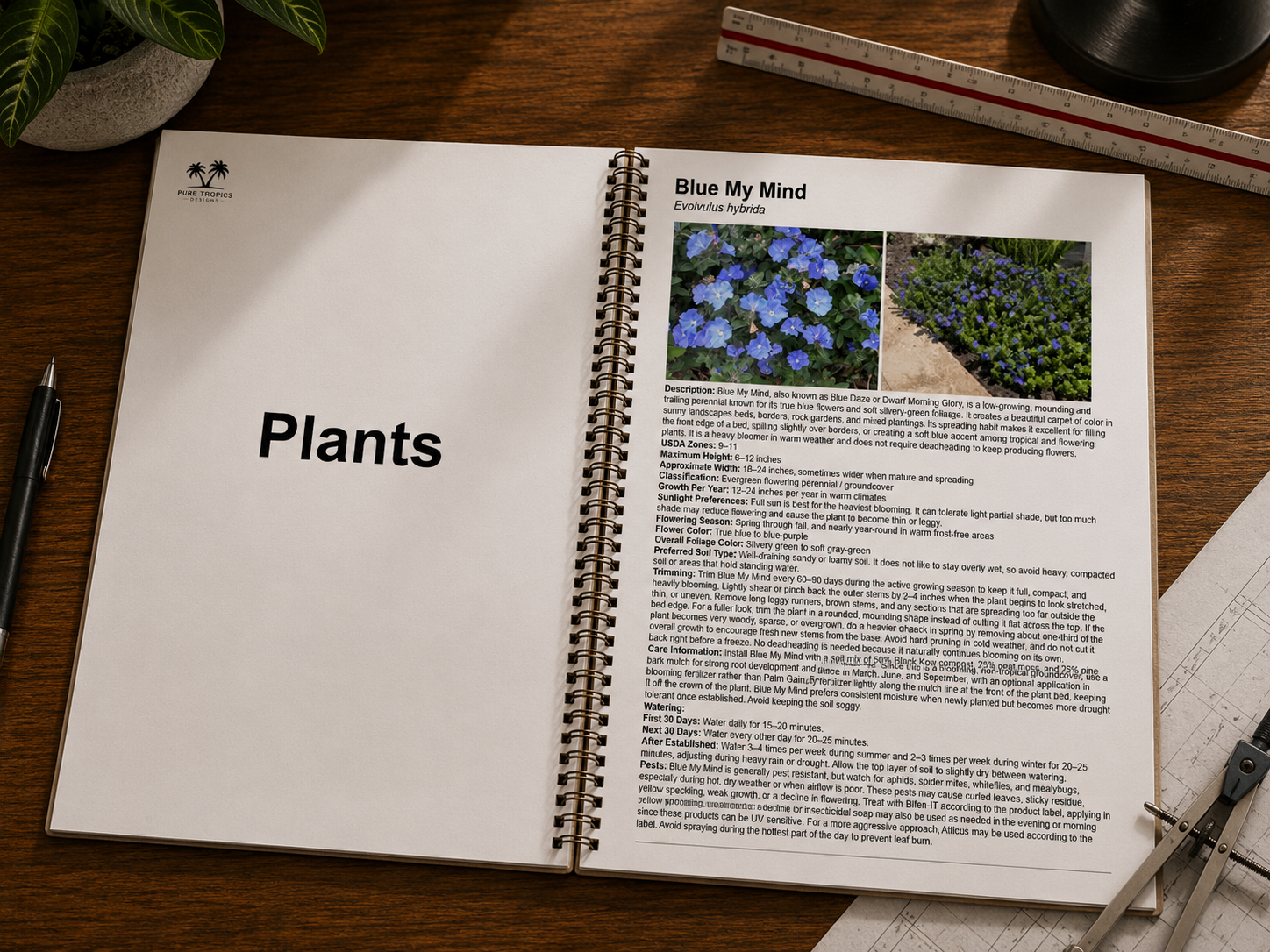 Botanical plant profile page outlining watering and pruning routines