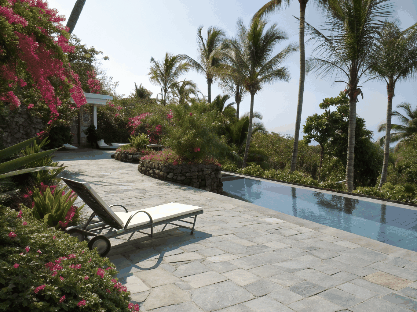 Rendered tropical resort-style pool retreat with architectural palms and lush understory